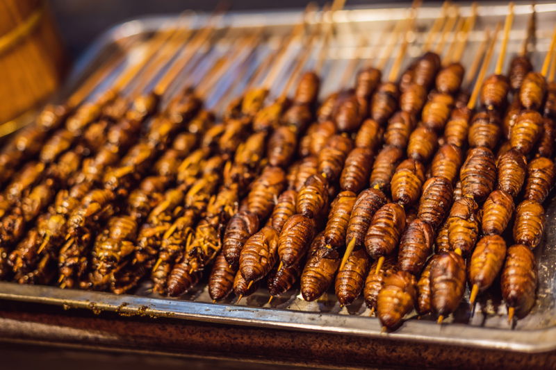 deep fried Silkworm