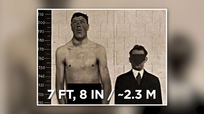 Adam Rainer last measured height