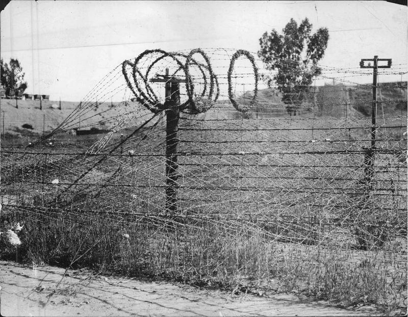 Barbed wire field WWI