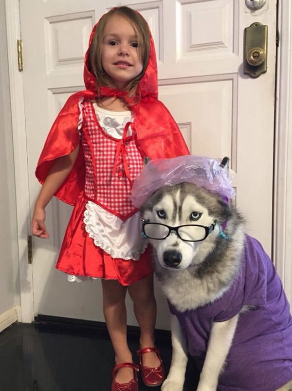 Red Riding Hood halloween costume