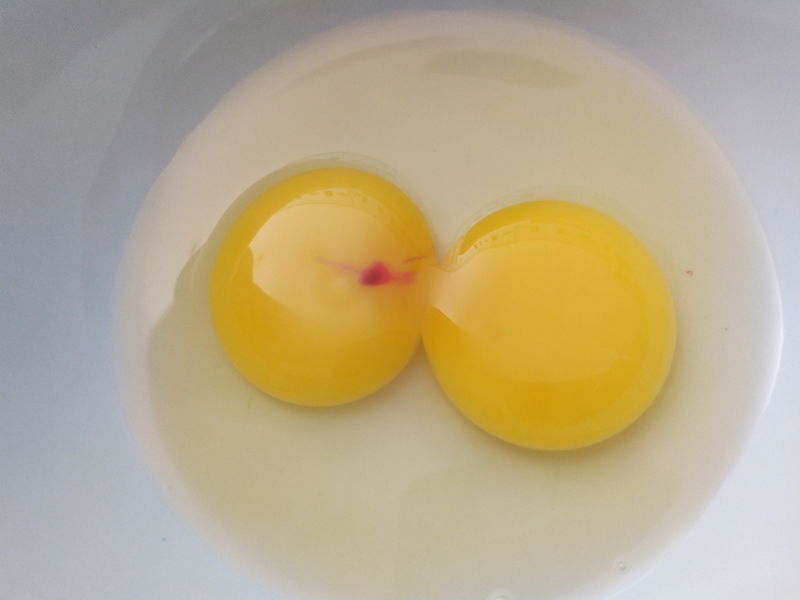 blood spot in egg