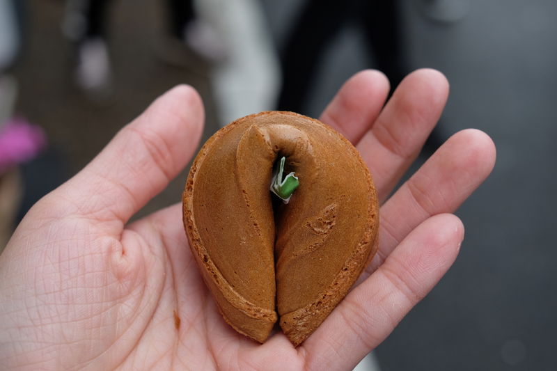 Omikuji, Japanese fortune cookie