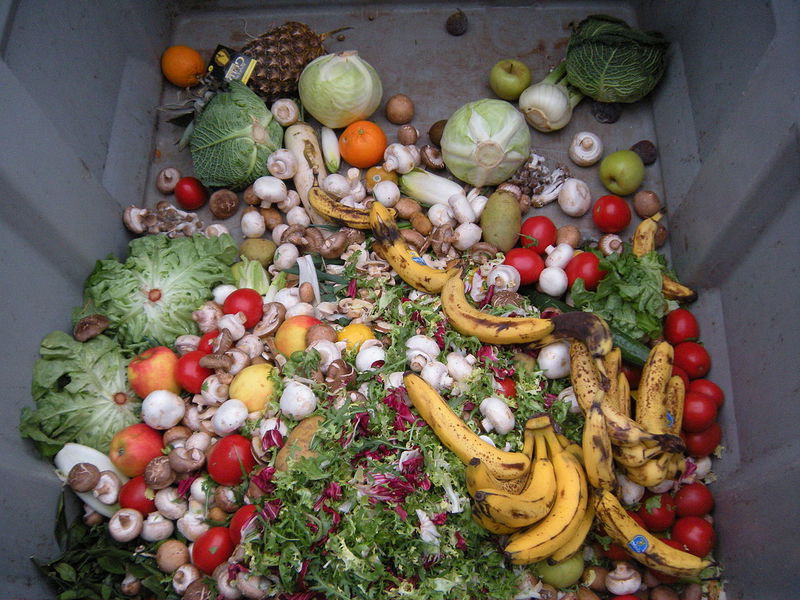 Food Waste