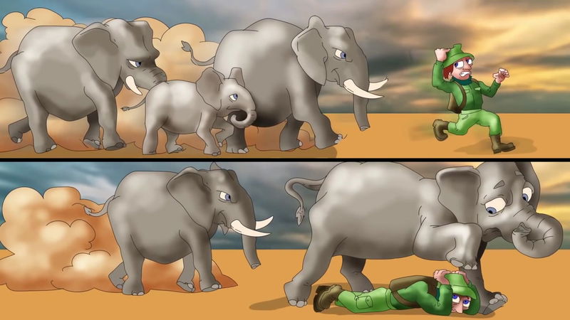 lie down in a prone position to survive elephant stampede