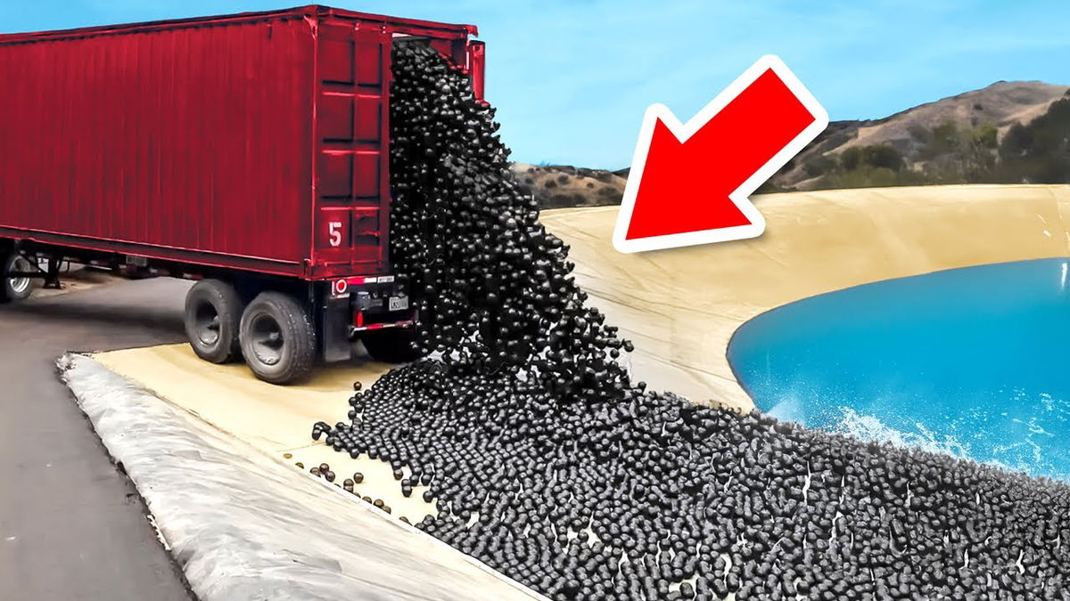 They Dumped 96 Million Balls into a Lake, Months Later They Scrambled To Get Them Out!