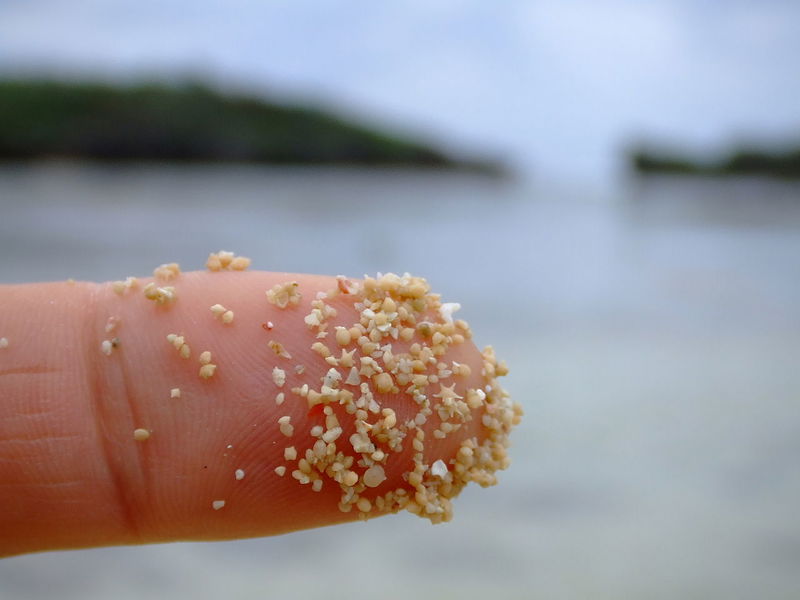 Star sand on Hoshizuna-no-hama, Iriomote, Okinawa