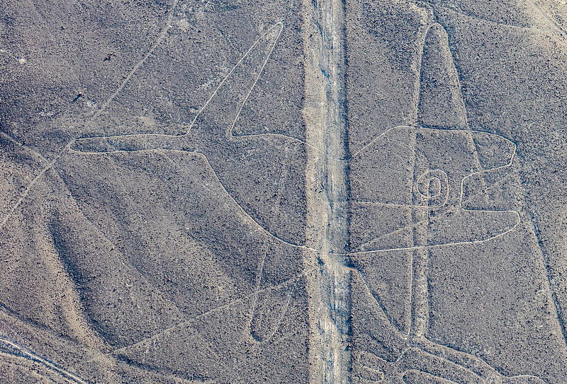 Nazca Lines Orca Whale