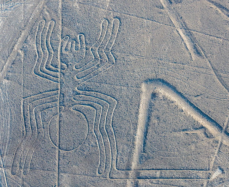 nazca lines spider