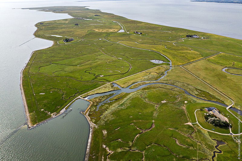 Hallig Langeneß Nordsee, Hallig Islands