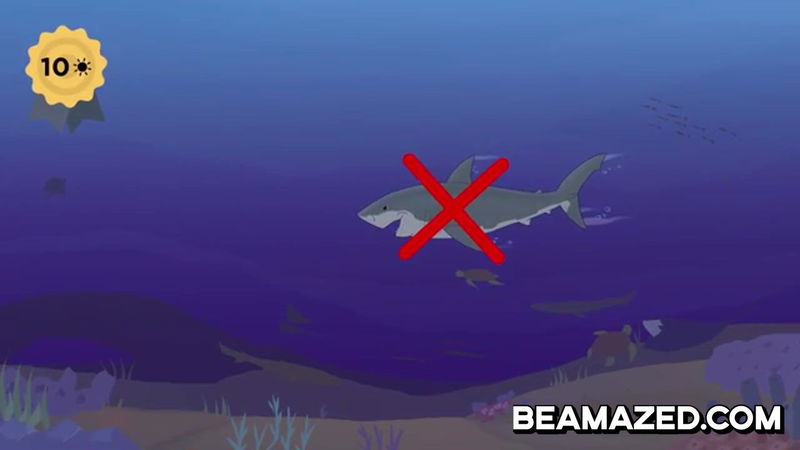 They made the decision to remove the Great White Shark from the Aquarium