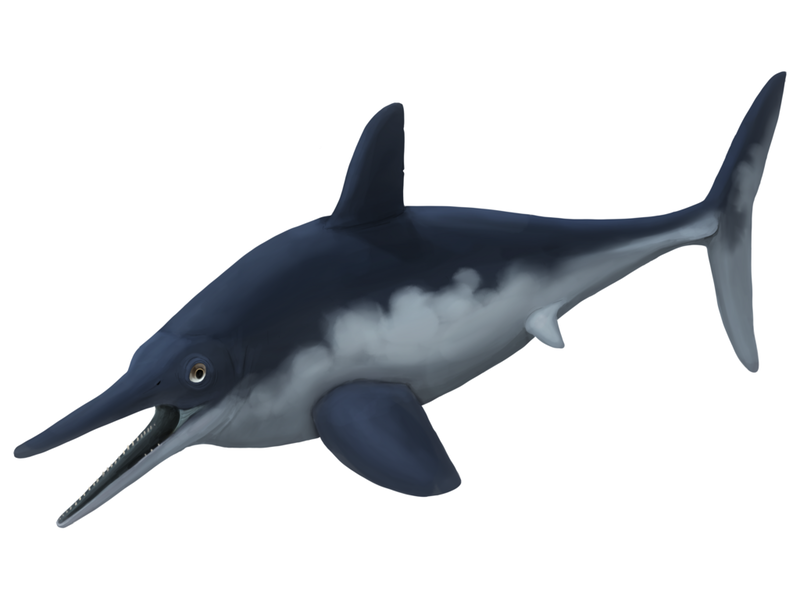 Ophthalmosaurus, the ichthyosaurs