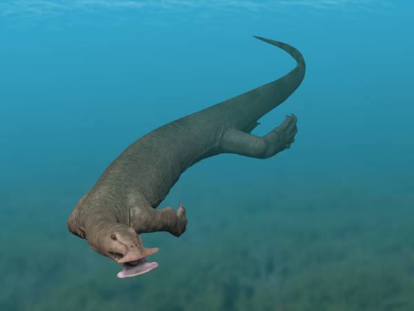 Atopodentosaurus