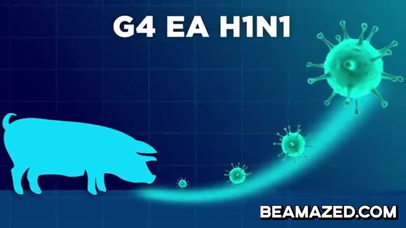 G4 EA H1N1