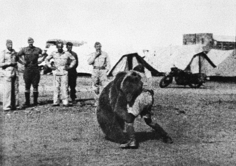 Wojtek wrestled with soldier