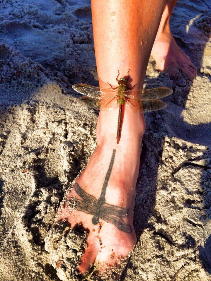 dragonfly on a tattoo