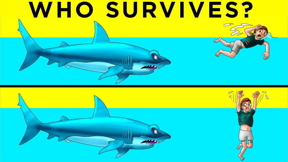 Animal Attack Riddles That Could Save Your Life