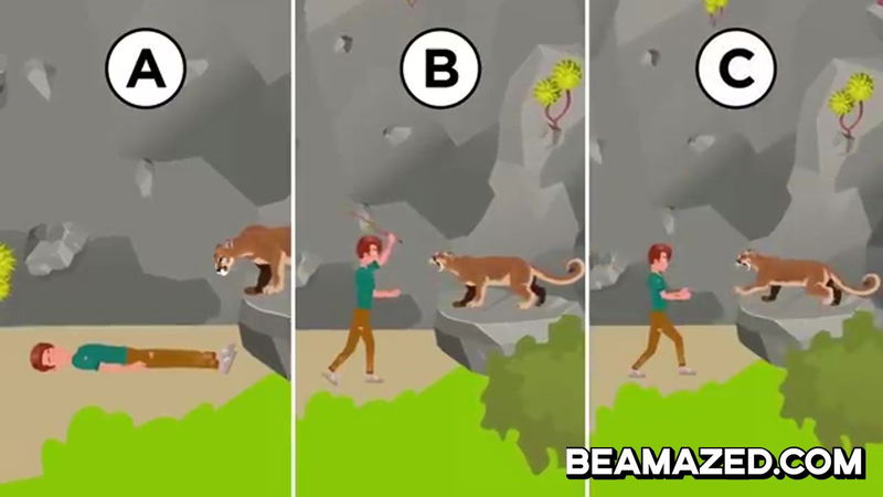 what to do against a mountain lion