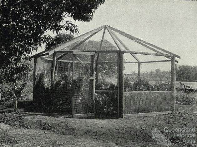 The Gordonvale garden gazebo