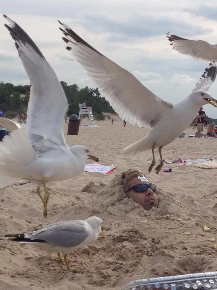 bird pooped on buried man’s head