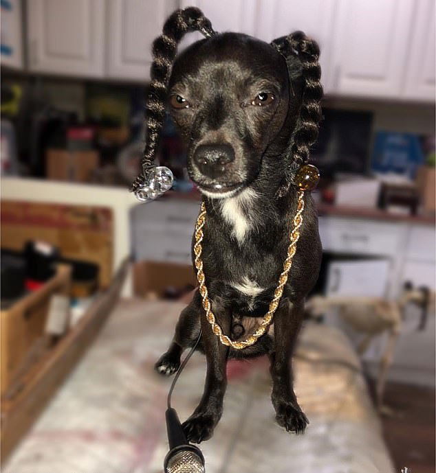 Snoop_Dog