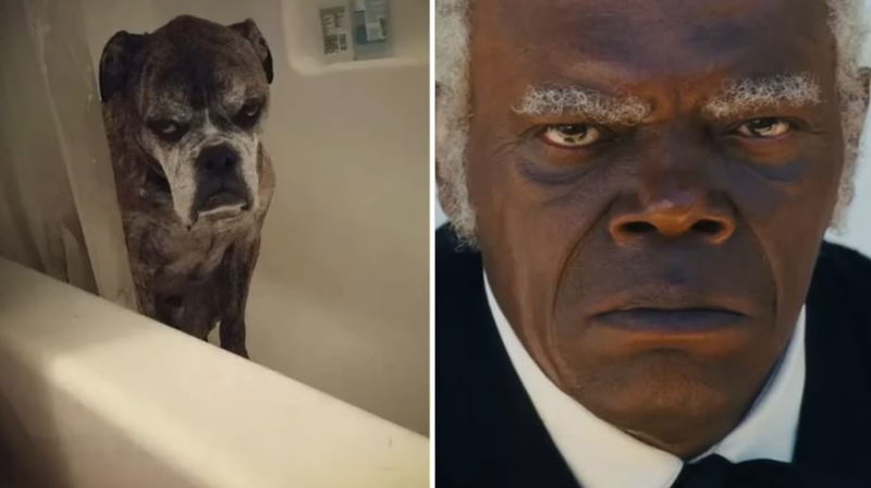 Samuel_Jackson