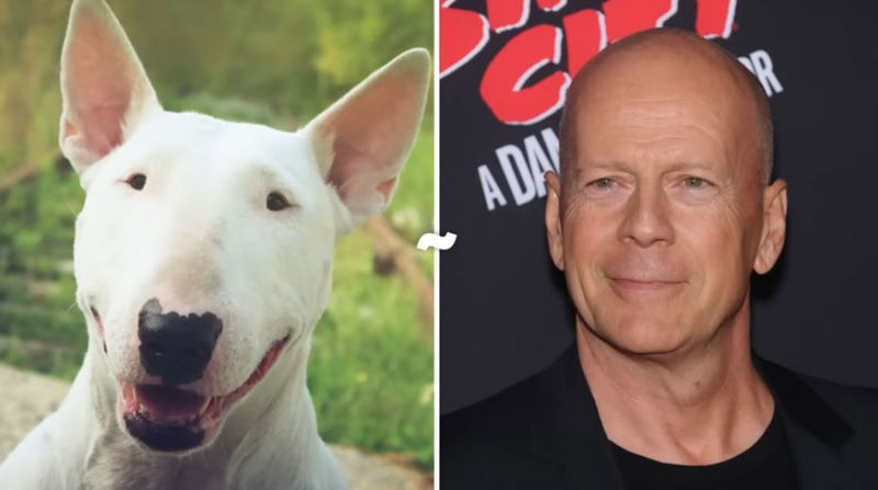 Bruce_Willis