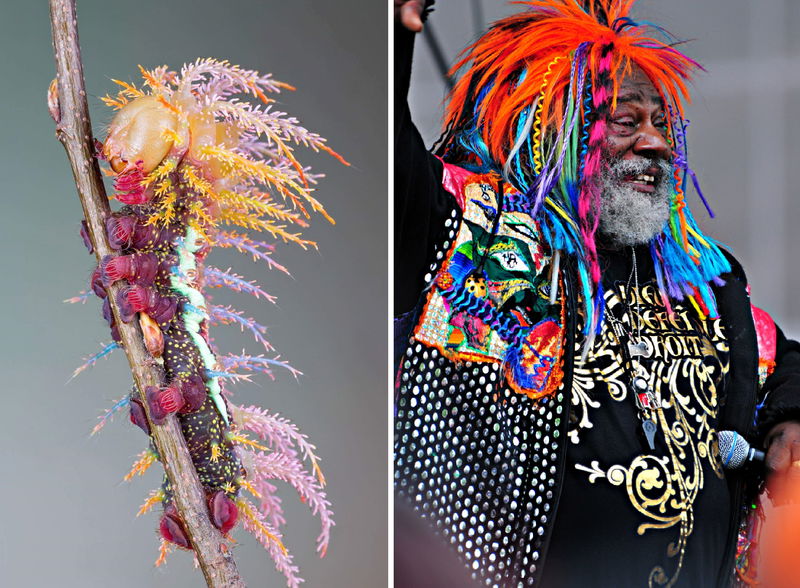 George_Clinton_