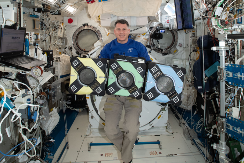 3_bees_with_astronaut_shane_kimbrough