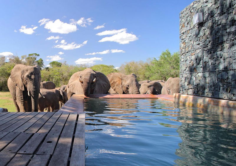 15._Safari_Park_Pools