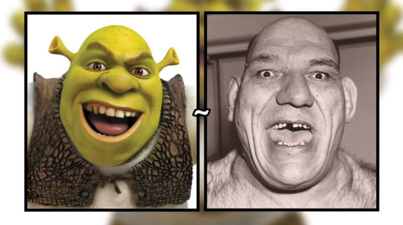 5._Shrek