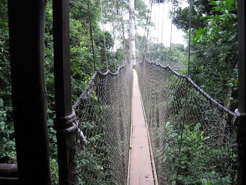 Kakum_Canopy_Walk