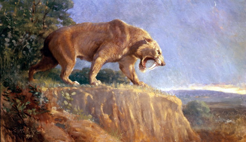 Smilodon