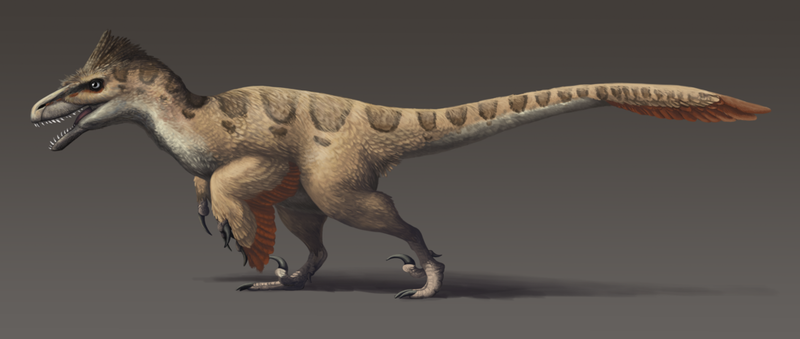 Utahraptor