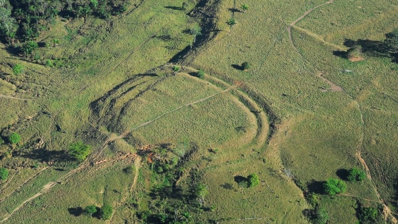 amazon-geoglyphs