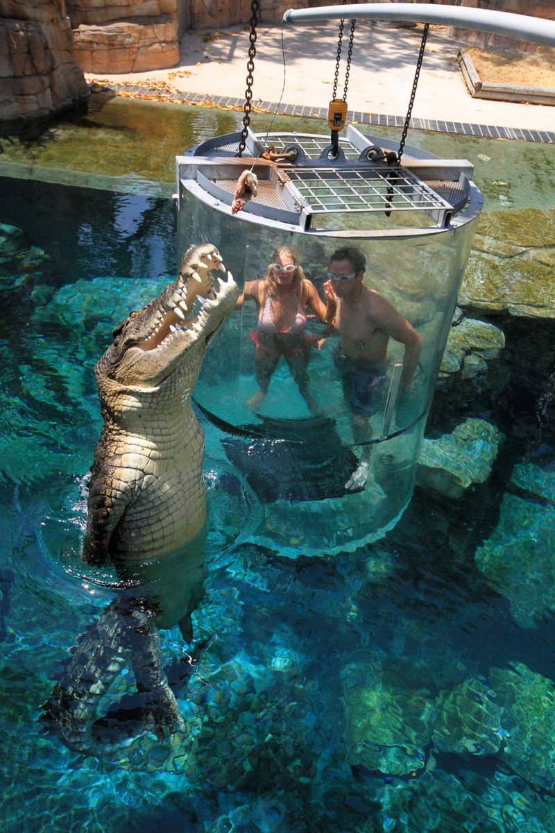 Couple_Standing_CrocJumping_Cage-of-Death_Darwin