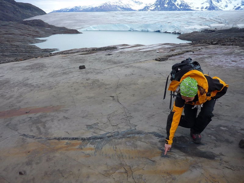 restos-fosiles-de-ictiosaurio-en-el-glaciar-chileno_4133e952_1200x900