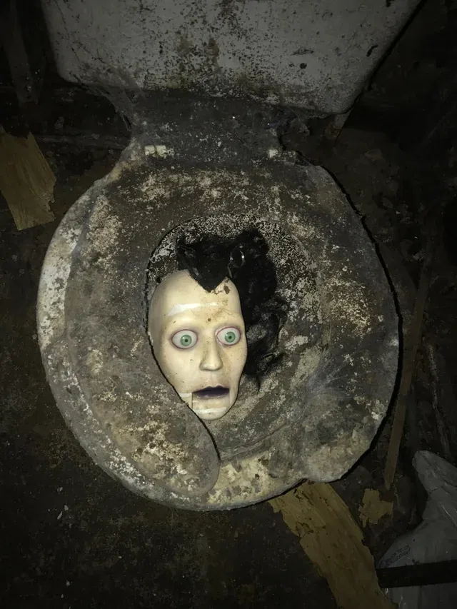 head_inside_toilet