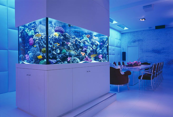 kitchen_Aquarium_storage