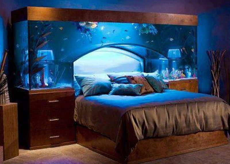 aquarium_headboard