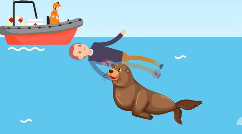 7._Sea_Lion_Saves_The_Day