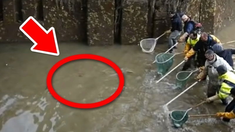 They Drained This Canal For The First Time In Decades, And What They Discovered Is Truly Bizarre