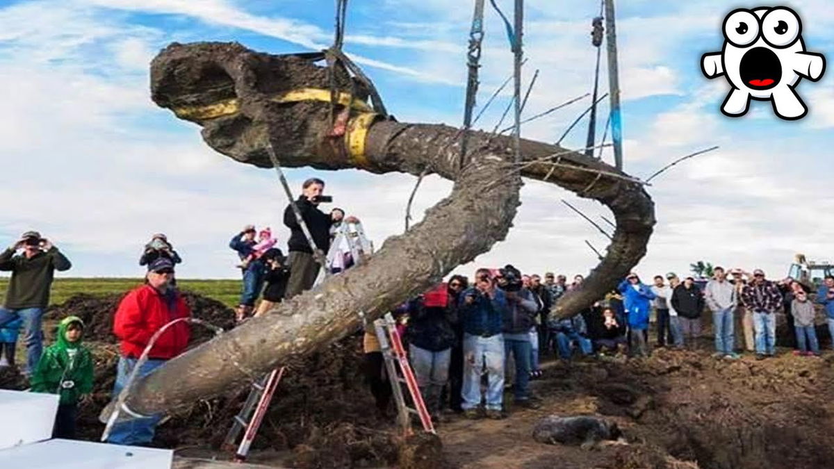 Farmer’s Mysterious Discovery Turned Out To Be Something Incredible