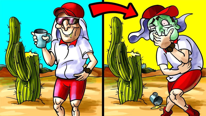 Survival Myths That Could Get You Killed cactus drink water