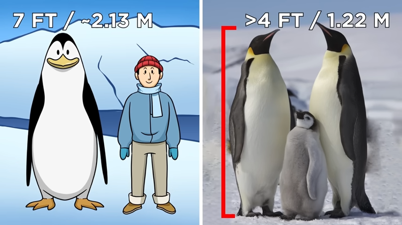 Colossus Penguin vs Modern Penguin