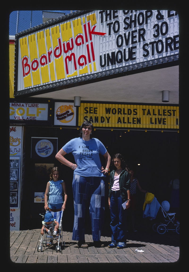 Sandy Allen, American tallest woman