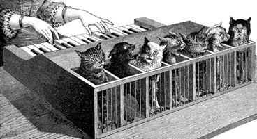 Katzenklavier or cat organ