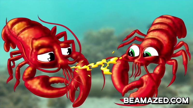 lobsters pee at each others face