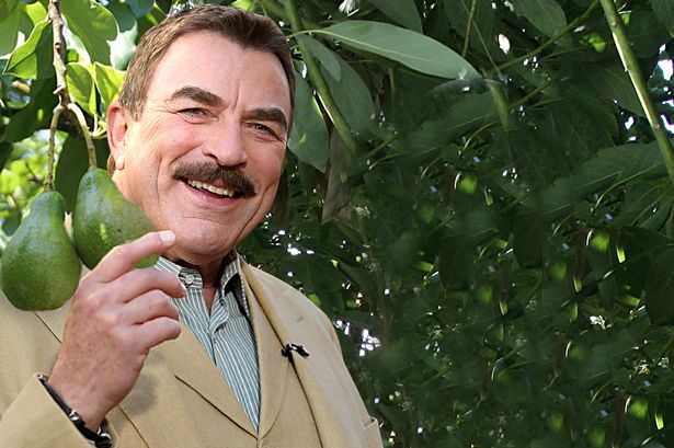 Tom_Selleck_1